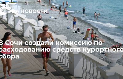 В Сочи создали комиссию по расходованию средств курортного сбора