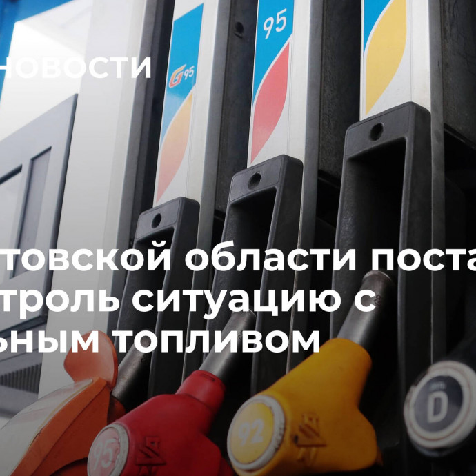 В Саратовской области поставили на контроль ситуацию с дизельным топливом