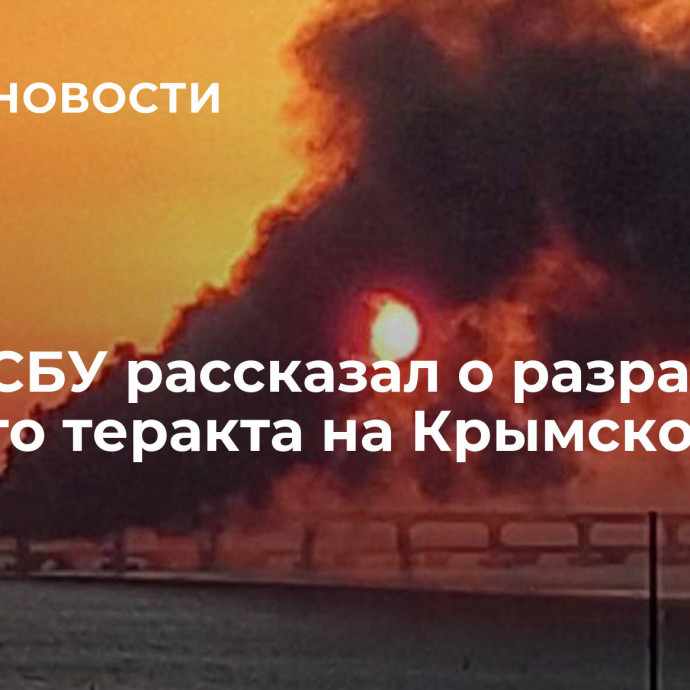 Глава СБУ рассказал о разработке первого теракта на Крымском мосту