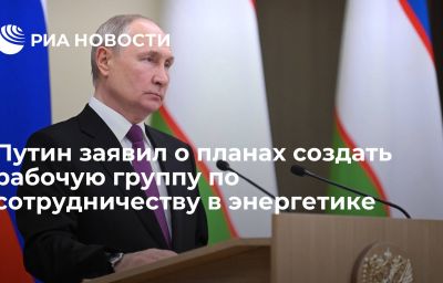 Путин заявил о планах создать рабочую группу по сотрудничеству в энергетике