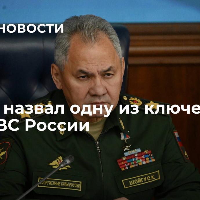 Шойгу назвал одну из ключевых задач ВС России