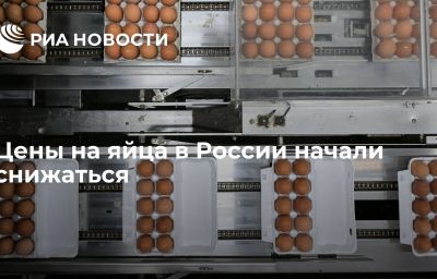 Цены на яйца в России начали снижаться