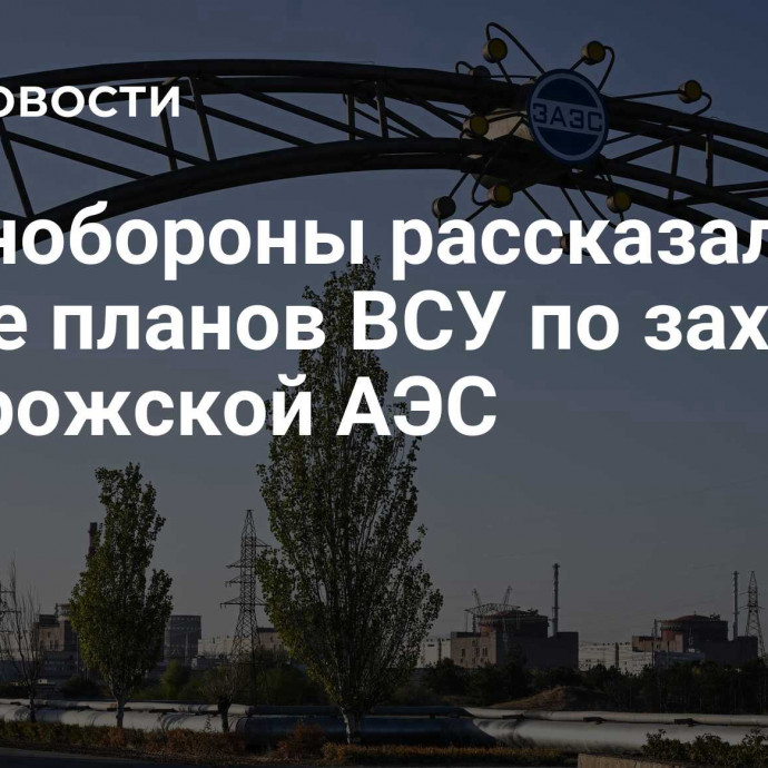 В Минобороны рассказали о срыве планов ВСУ по захвату Запорожской АЭС