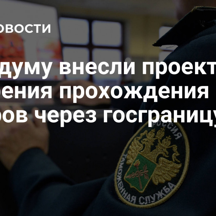 В Госдуму внесли проект для ускорения прохождения товаров через госграницу