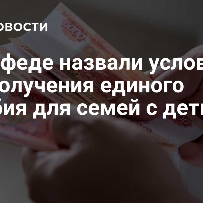 В Совфеде назвали условия для получения единого пособия для семей с детьми