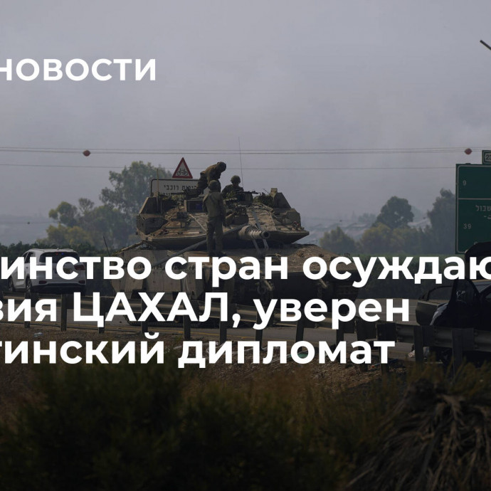 Большинство стран осуждают действия ЦАХАЛ, уверен палестинский дипломат