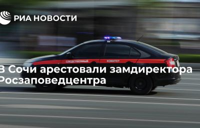 В Сочи арестовали замдиректора Росзаповедцентра