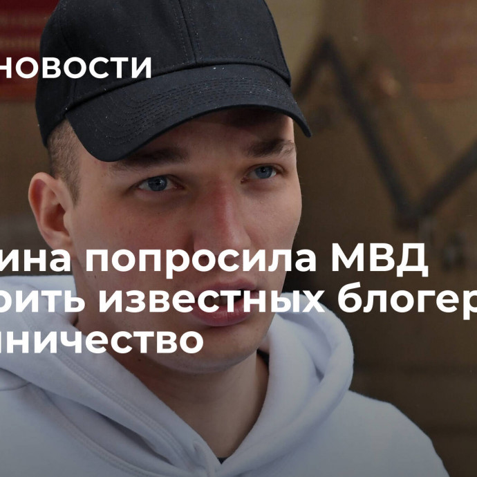 Мизулина попросила МВД проверить известных блогеров на мошенничество