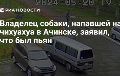 Владелец собаки, напавшей на чихуахуа в Ачинске, заявил, что был пьян