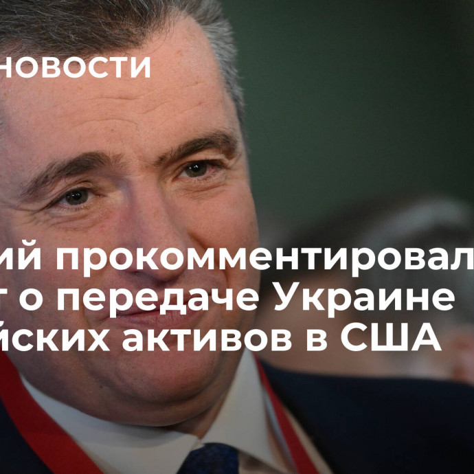 Слуцкий прокомментировал проект о передаче Украине российских активов в США