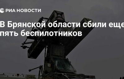 В Брянской области сбили еще пять беспилотников