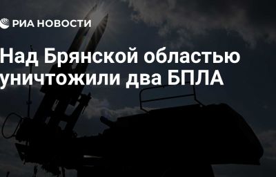 Над Брянской областью уничтожили два БПЛА