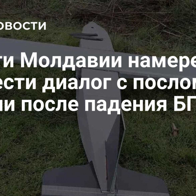 Власти Молдавии намерены провести диалог с послом России после падения БПЛА