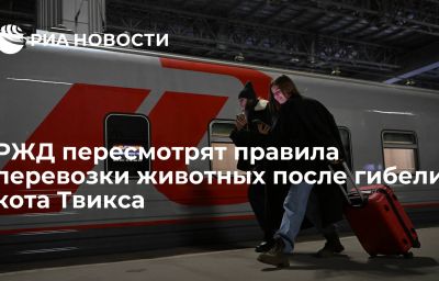 РЖД пересмотрят правила перевозки животных после гибели кота Твикса