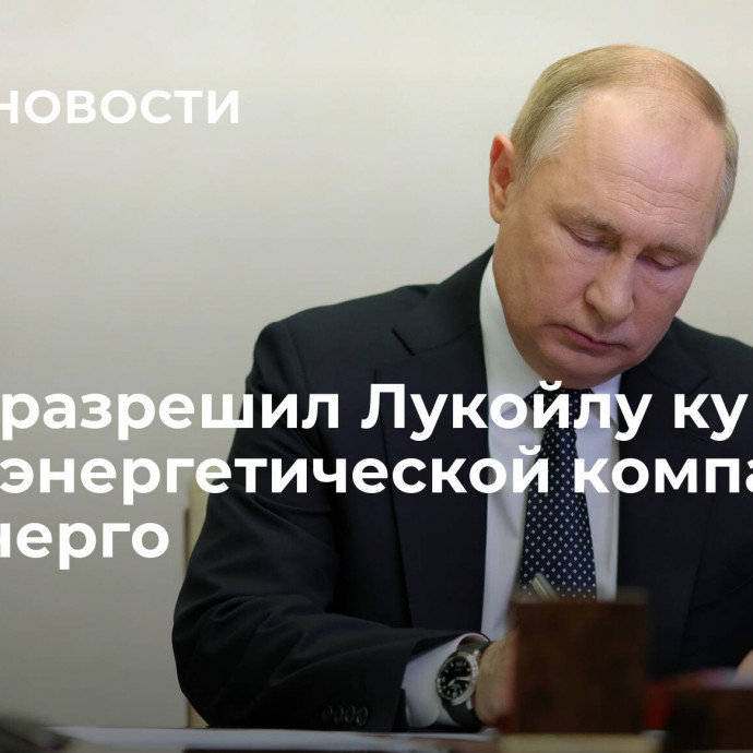 Путин разрешил Лукойлу купить акции энергетической компании ЭЛ5-Энерго