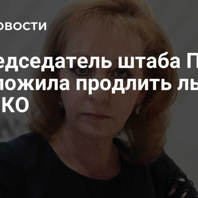 Сопредседатель штаба Путина предложила продлить льготы для НКО