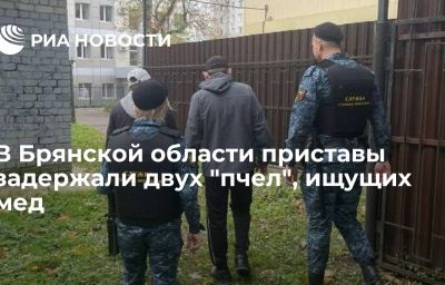 В Брянской области приставы задержали двух "пчел", ищущих мед