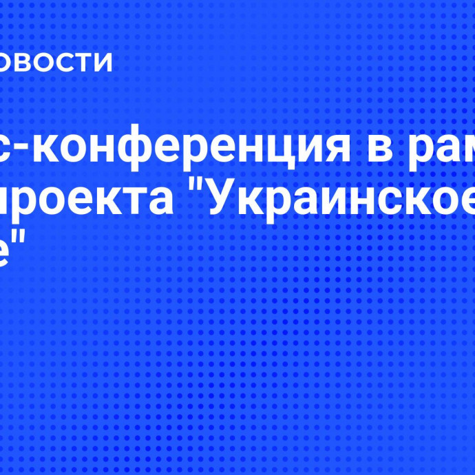 Пресс-конференция в рамках спецпроекта 