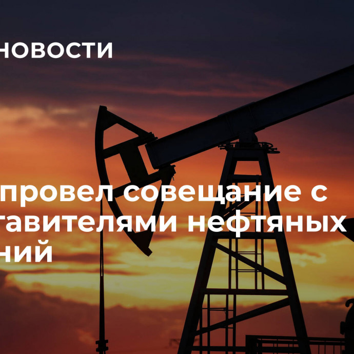 Новак провел совещание с представителями нефтяных компаний