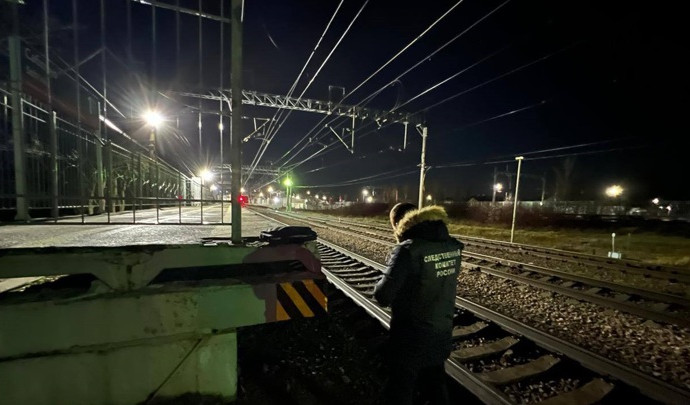 В Ленобласти выжила девочка в наушниках, сбитая электричкой - Новости на Вести.ru