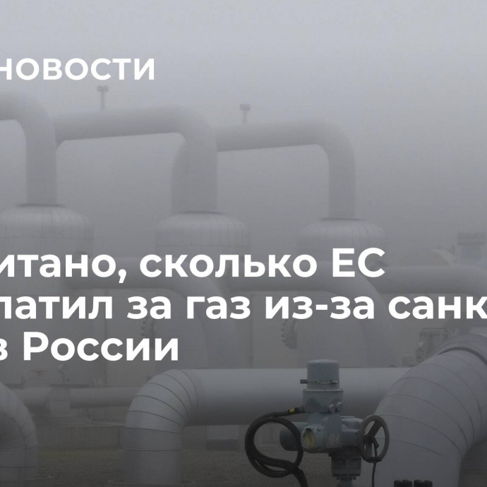 Подсчитано, сколько ЕС переплатил за газ из-за санкций против России