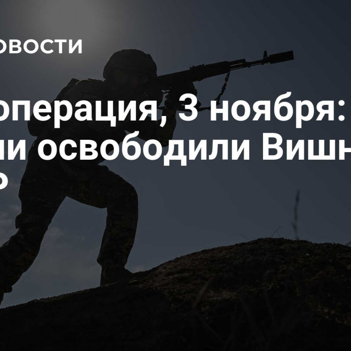 Спецоперация, 3 ноября: ВС России освободили Вишневое в ДНР