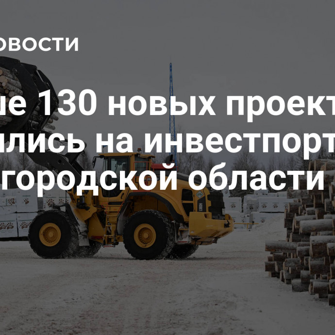 Свыше 130 новых проектов появились на инвестпортале Нижегородской области