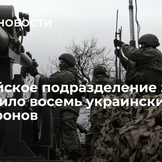 Российское подразделение за два дня сбило восемь украинских FPV-дронов