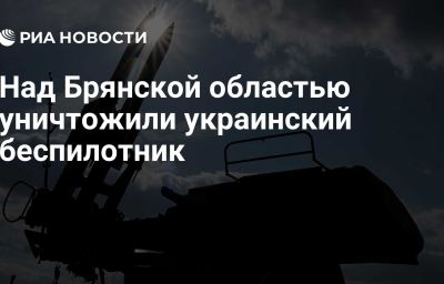 Над Брянской областью уничтожили украинский беспилотник