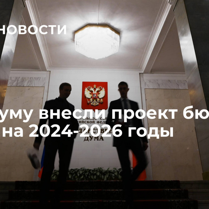 В Госдуму внесли проект бюджета ФОМС на 2024-2026 годы
