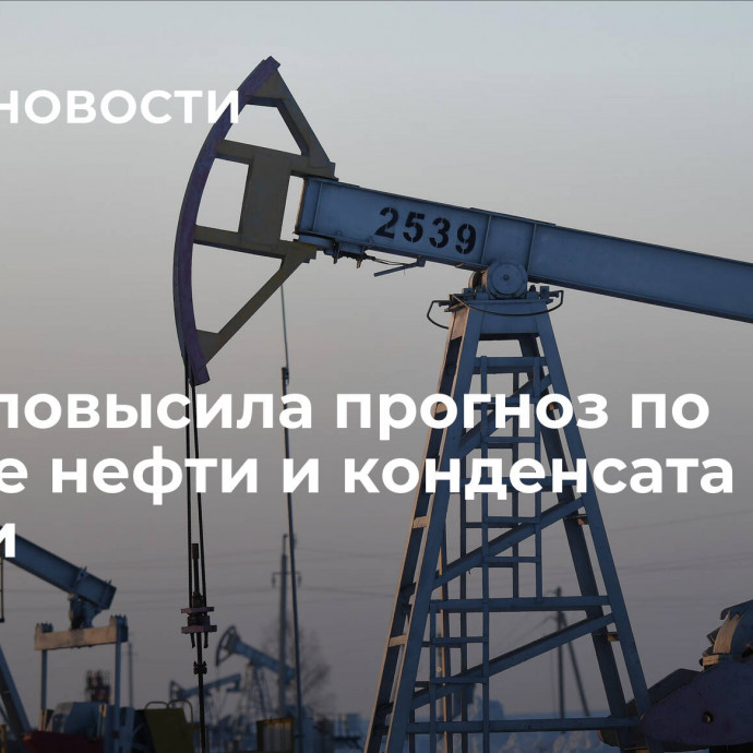 ОПЕК повысила прогноз по добыче нефти и конденсата в России