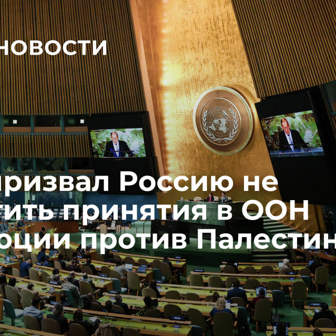 Иран призвал Россию не допустить принятия в ООН резолюции против Палестины