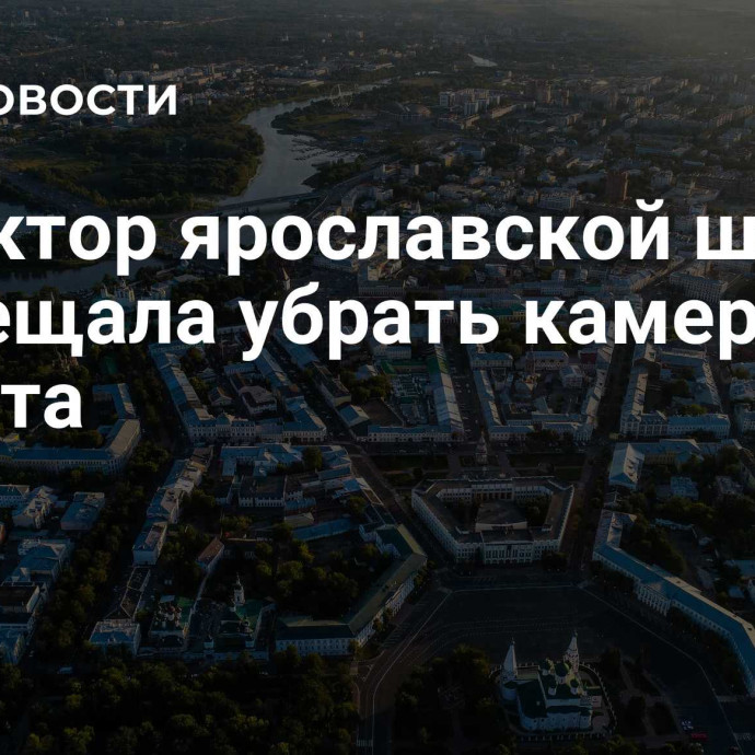 Директор ярославской школы пообещала убрать камеры из туалета