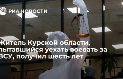 Житель Курской области, пытавшийся уехать воевать за ВСУ, получил шесть лет