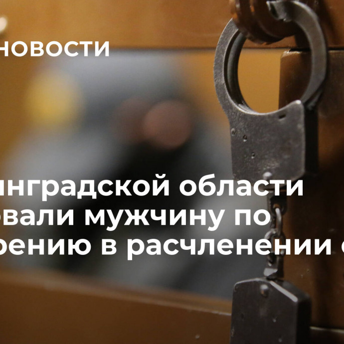 В Ленинградской области арестовали мужчину по подозрению в расчленении сына