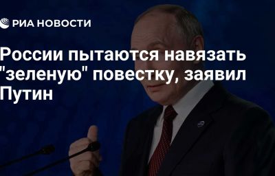 России пытаются навязать "зеленую" повестку, заявил Путин