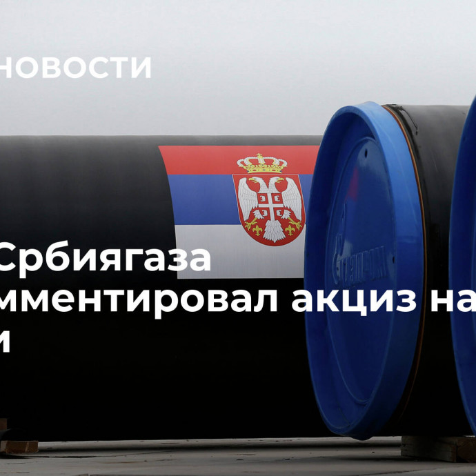 Глава Србиягаза прокомментировал акциз на газ из России