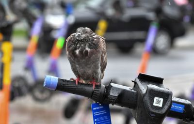 На выходных в столичном регионе похолодает