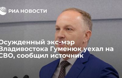 Осужденный экс-мэр Владивостока Гуменюк уехал на СВО, сообщил источник