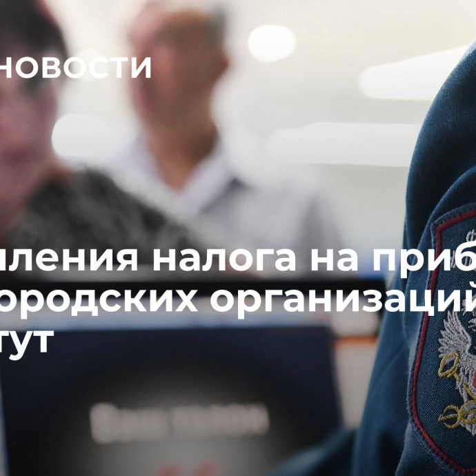 Поступления налога на прибыль нижегородских организаций вырастут