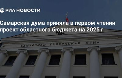 Самарская дума приняла в первом чтении проект областного бюджета на 2025 г