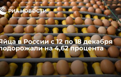 Яйца в России с 12 по 18 декабря подорожали на 4,62 процента