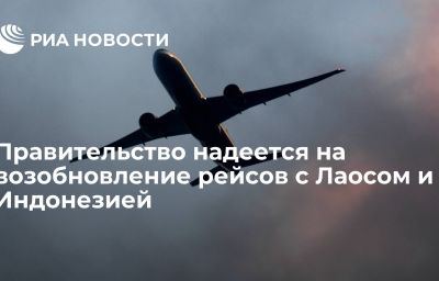 Правительство надеется на возобновление рейсов с Лаосом и Индонезией