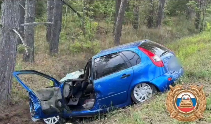 В ДТП на трассе в Башкирии погибли водитель и лось