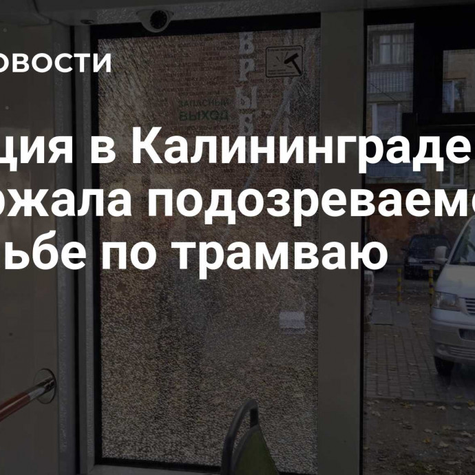 Полиция в Калининграде задержала подозреваемого в стрельбе по трамваю