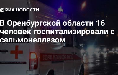 В Оренбургской области 16 человек госпитализировали с сальмонеллезом