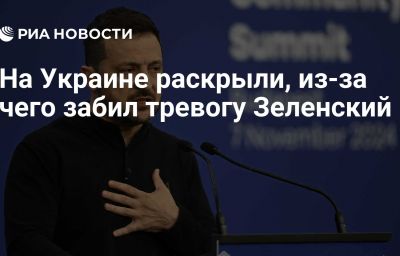 На Украине раскрыли, из-за чего забил тревогу Зеленский