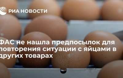 ФАС не нашла предпосылок для повторения ситуации с яйцами в других товарах