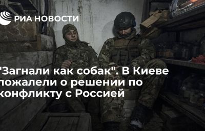 "Загнали как собак". В Киеве пожалели о решении по конфликту с Россией