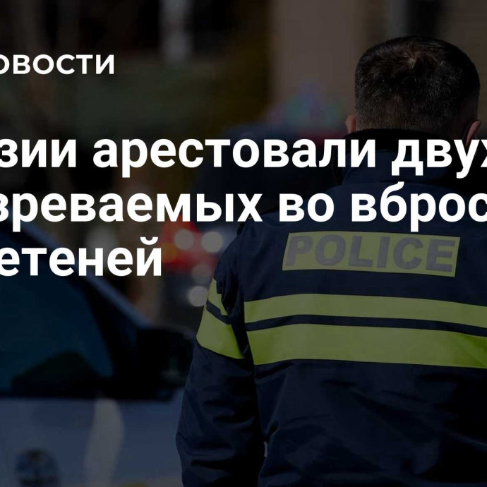 В Грузии арестовали двух подозреваемых во вбросе бюллетеней